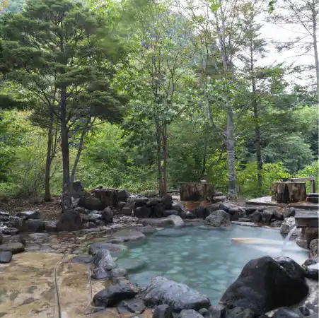 平家温泉 こまゆみの郷の露天風呂