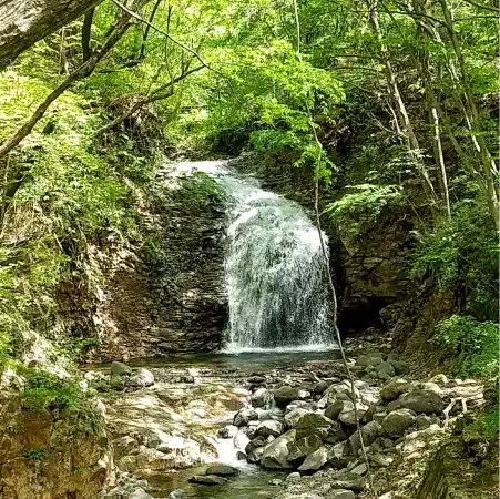 滝が流れる風景