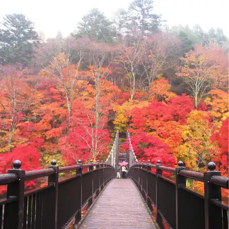 深紅に染まる紅の吊橋