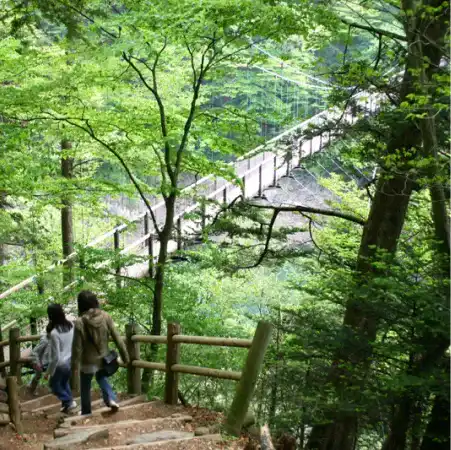 回顧の吊橋周辺