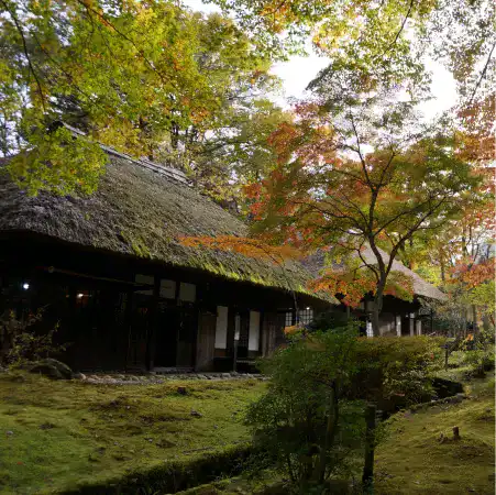 湯西川温泉平家の里の茅葺き古民家と紅葉の風景