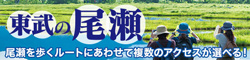 東武の尾瀬